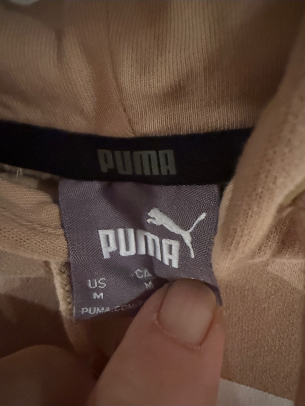 Puma - Picture 2 of 3